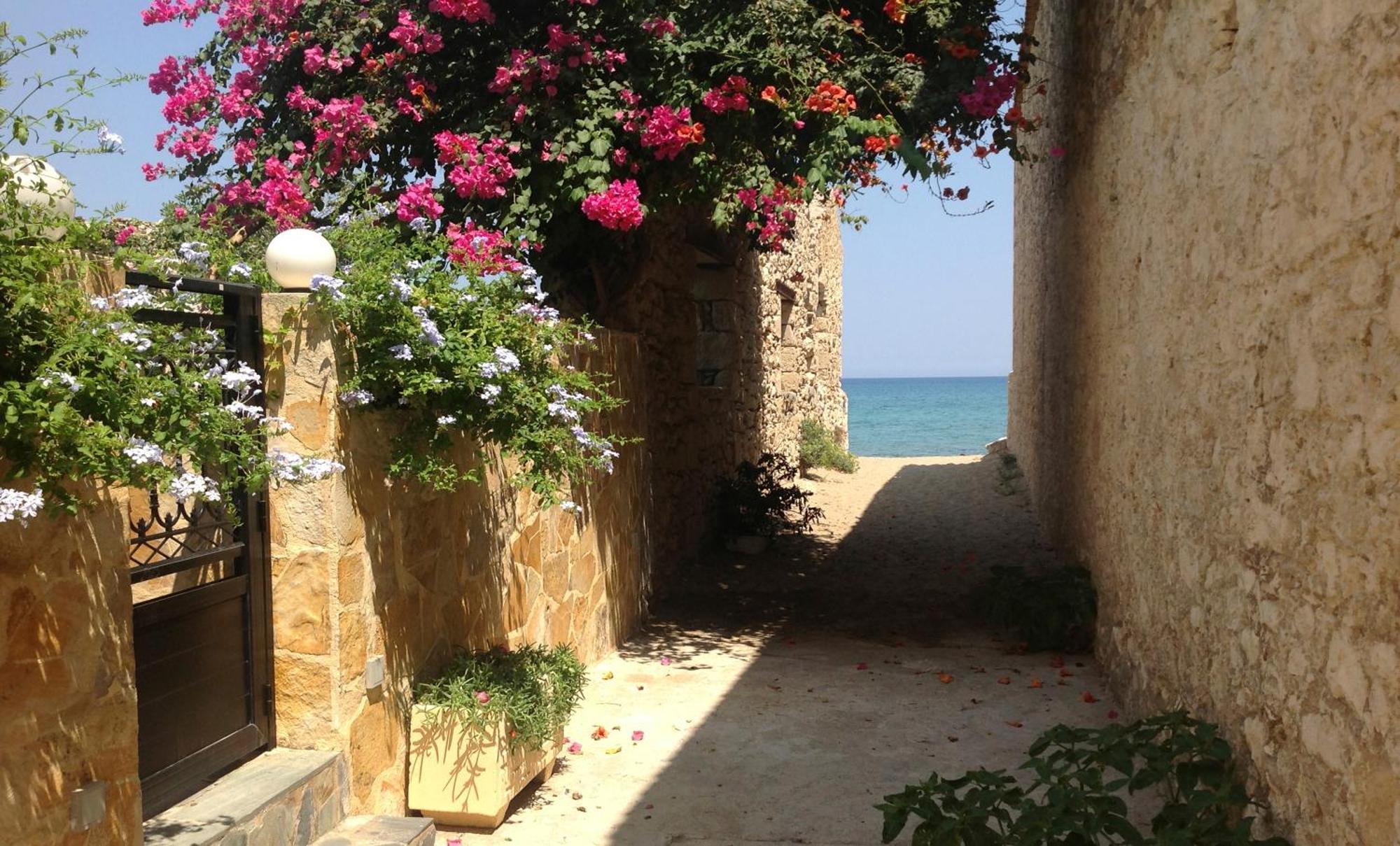 Asterias &